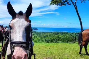 Tour image of Horseback Riding Beach & Jungle