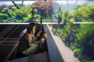 Tour image of Oceanário de Lisboa Tickets