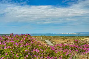 Tour image of Guided Nature Tour & Hop On Hop Off 3 Islands