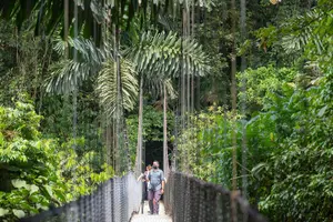 Tour image of Arenal Highlights: Hanging Bridges, La Fortuna Waterfall, Volcano