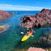 Image of Kayaking Tours