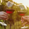Image of Wine, Beer & Spirits