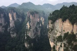 Tour image of 1-Day Private Tour to ZJJ National Forest Park & Avatar Mountain