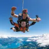 Image of In the Air