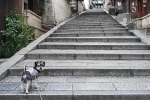 Tour image of Kyoto Early Bird Tour: Fushimi Inari, Kiyomizu-dera & Gion