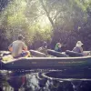 Image of Nature and Wildlife Tours