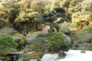 Tour image of Kamakura Private Tour by Public Transportation
