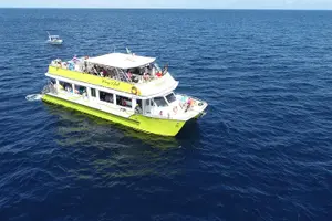 Tour image of Private Premium Whale and Dolphin Safari St Lucia