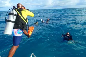 Tour image of Eco Conscious Reef Diving with Southpoint Divers