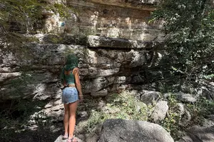 Tour image of Greenbelter Safari Hikes
