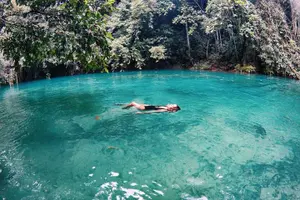 Tour image of Oslob Whale Shark Swimming and Kawasan Falls Canyoneering