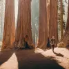 Image of Nature Walks