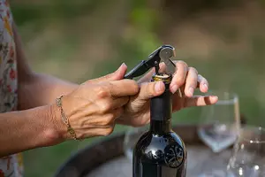 Tour image of Small-Group Half-Day Languedoc Wine and Olive Tour from Montpellier