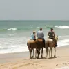 Image of Horseback Riding