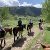 Image of Pack Animal Tours
