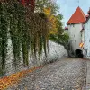 Image of Religious Tours