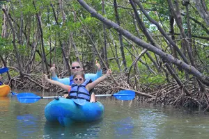 Tour image of Rookery Bay Kayak Adventure – Mangroves, Wildlife & Photos