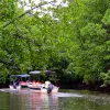 Image of Sightseeing Cruises