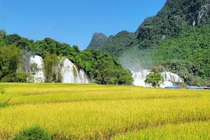 Tour image of 3 days: Ban Gioc waterfall - Ba Be Lake with Local Guide