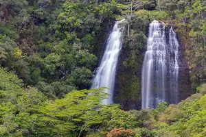 Tour image of Kauai Highlights & Movie Sites