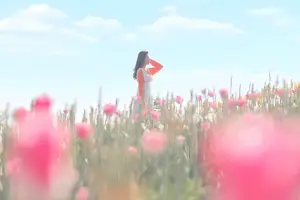 Image of South Korea