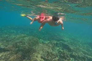 Tour image of Private Snorkeling with turtles with BBQ food