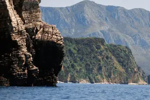 Tour image of Budva Bay: Kayak & SUP Tour to Coastal Caves