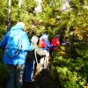 Image of Nature Walks