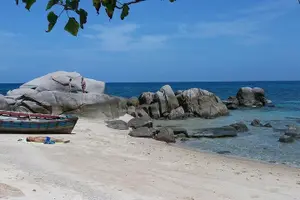 Tour image of Pig Island Experience By Speed Boat, Snorkeling, Kayaking Relaxing on the Beach
