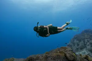 Tour image of 3 Days PADI Open Water Scuba Diving in Koh Tao