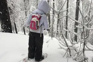 Tour image of Private Guided Snowshoe Hike in Yosemite