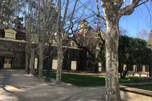 Tour image of 8hr Private Sonoma and Napa Wine Tour from San Francisco.XL SUV