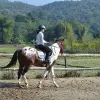 Image of Horseback Riding