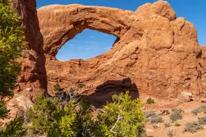 Tour image of Arches National Park Half Day Tour