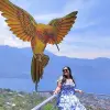 Image of Eco Tours