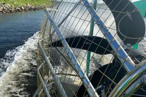 Tour image of 90 minute Everglades Airboat Tour near Orlando Florida