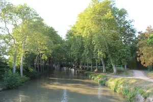 Tour image of Private Day tour :Lastours, Wine tasting,Minerve,Canal du Midi From Carcassonne