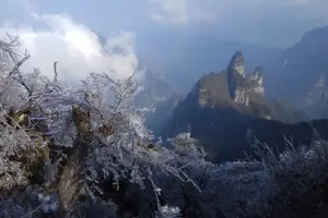 Tour image of Tianmen Mountain(Glass Walking Way) day tour
