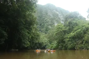 Tour image of Rainforest Kayaking with Semenggoh Orangutan Center from Kuching