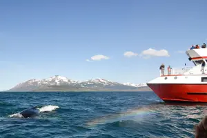 Image of Iceland