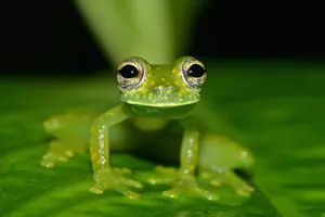 Tour image of 7 Day Adventure and Wildlife Tour in Drake Bay and Osa