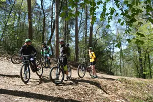 Tour image of Electric mountain biking in Annecy