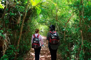 Tour image of Bermuda Hidden Gems Summer Excursion