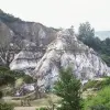 Image of Plantation Tours