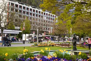 Tour image of Private Trip from Geneva to Interlaken