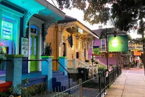 Tour image of Private New Orleans City Tour with Local Expert Guide