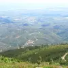 Image of Food Tours