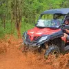 Image of Pack Animal Tours