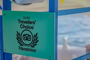 Tour image of Dolphin Catamaran Snorkel and Sail with Open Bar