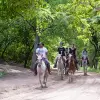 Image of Pack Animal Tours